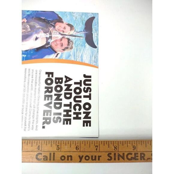 Dolphin Harbor Miami Seaquarium Florida Print ad - Picture 5 of 5